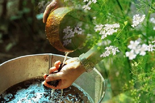 Mẹo bao sái bàn thờ bằng nước mùi già rước phúc lộc cho năm mới