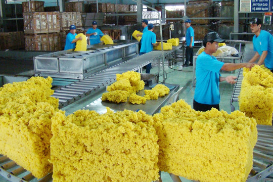 Thị trường cao su toàn cầu năm 2025 dự báo thiếu hụt 700.000 tấn