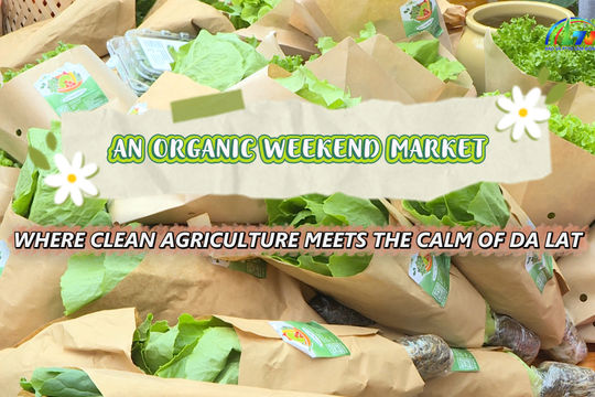 An organic weekend market: Where clean agriculture meets the calm of Da Lat