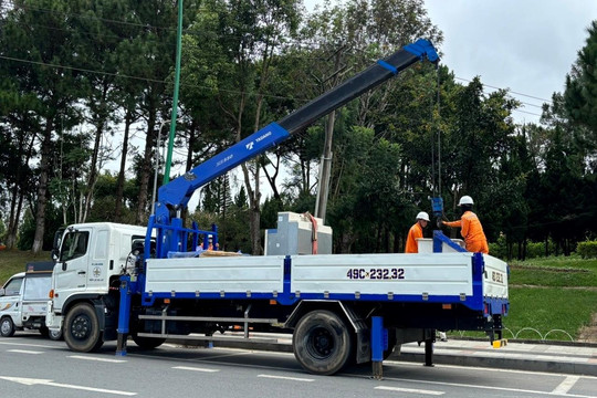 PC Lâm Đồng nỗ lực bảo đảm hành lang an toàn lưới điện