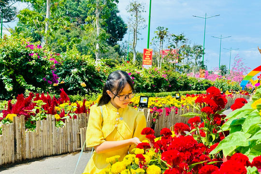 Mong chờ chợ tết, hội hoa xuân ở trung tâm Đông Nam tỉnh