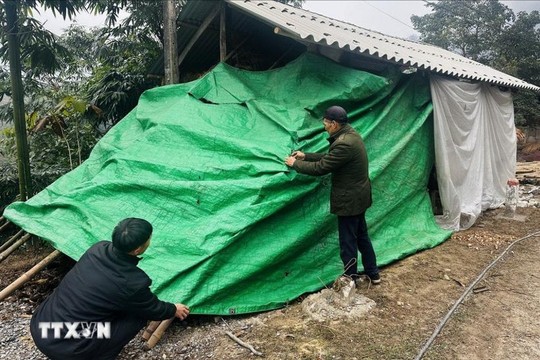 Ảnh hưởng của không khí lạnh mạnh, miền Bắc rét nhất từ đầu mùa Đông