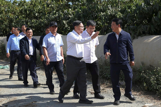Phó Chủ tịch UBND tỉnh Lâm Đồng Võ Ngọc Hiệp kiểm tra 2 dự án trọng điểm ở Đinh Văn Lâm Hà