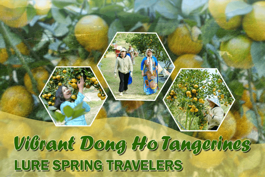Vibrant Dong Ho Tangerines