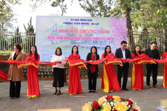 Khai mạc chương trình “Hoa mai anh đào chắp cánh thương hiệu Đà Lạt”