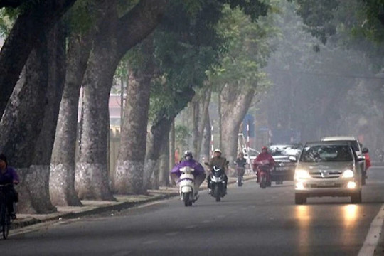 Thời tiết ngày 25/1: Bắc Bộ tiếp tục rét đậm, có mưa phùn và sương mù