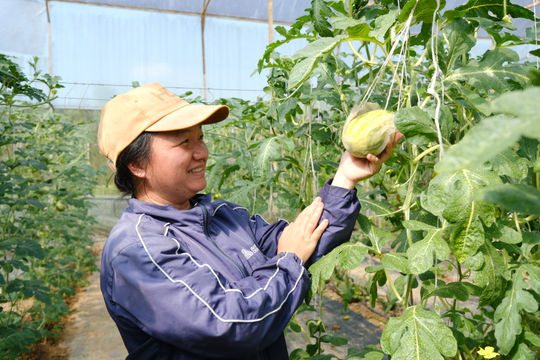 Lập nghiệp từ cách làm nông mới
