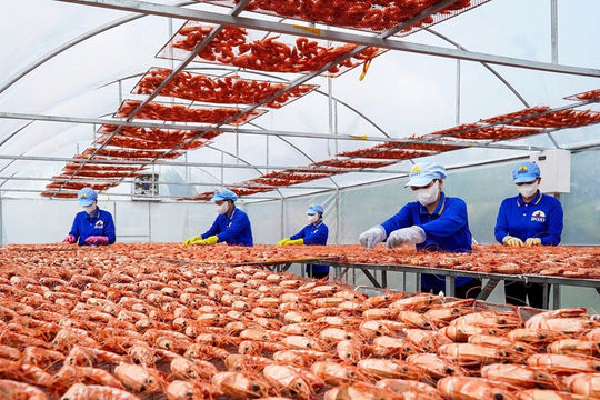Quyết tâm hiện thực hóa mục tiêu phát triển đất nước