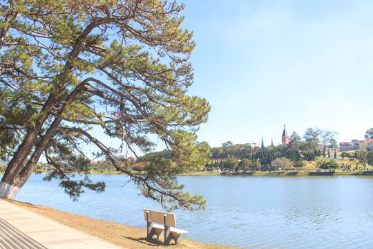 Updating and Refining the Scientific Dossier of Xuan Huong Lake Scenic Site