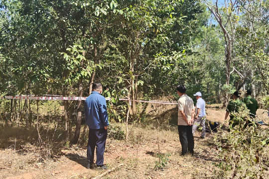 Phát hiện người đàn ông tử vong trong rừng ở Lâm Đồng