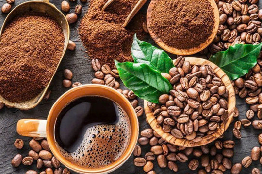 Giá cà phê ngày 28/1: Duy trì trên 101.000 đồng/kg trước kỳ nghỉ Tết