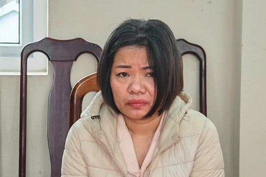 Hà Nội: Khởi tố đối tượng giúp việc bạo hành cụ bà 82 tuổi nằm liệt giường