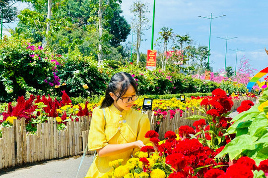 Awaiting the Tet Market and Flower Festival in the province's southeast