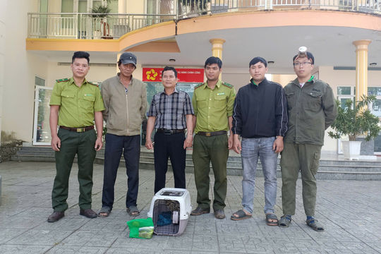 Vườn Quốc gia Cát Tiên tiếp nhận, cứu hộ cá thể mèo rừng quý hiếm