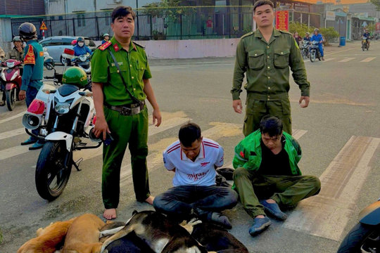 Tổ tuần tra 363 bắt giữ nhóm trộm chó chuyên nghiệp, thu giữ súng bắn chỉa tại TP.HCM