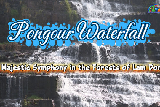 Pongour Waterfall – A Majestic Symphony in the Forests of Lam Dong