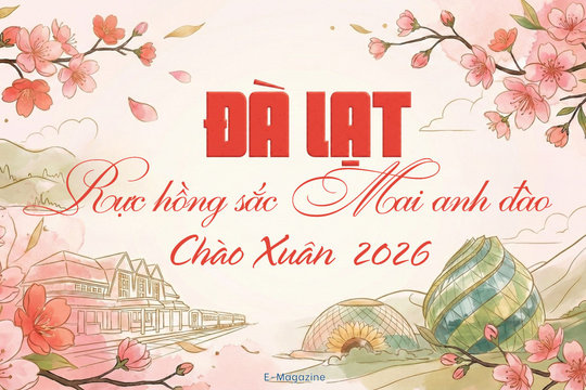 Đà Lạt rực hồng sắc Mai anh đào chào Xuân 2026