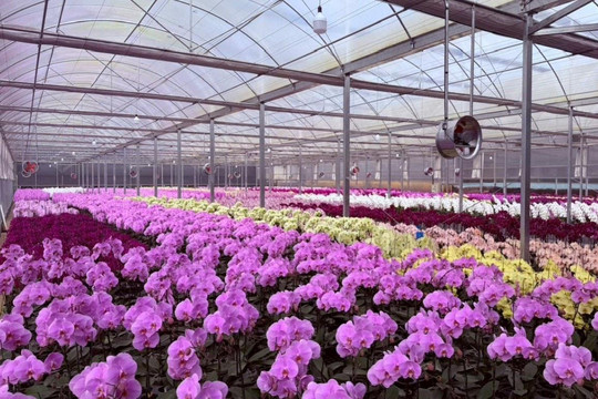 Phát triển nguồn giống cây trồng, vật nuôi mới tại Lâm Đồng