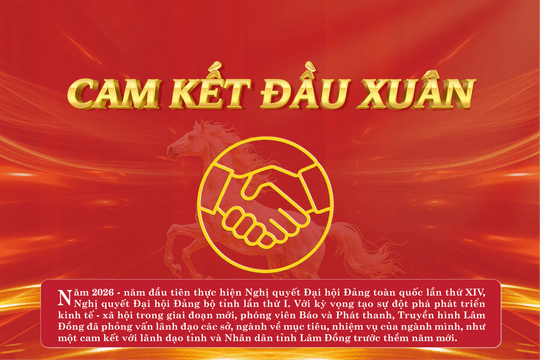 Cam kết đầu xuân