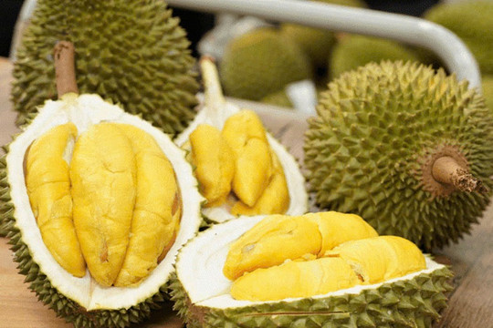 Giá sầu riêng hôm nay 2/2: Sầu Thái loại A chạm mốc 145.000 đồng/kg do nguồn cung khan hiếm