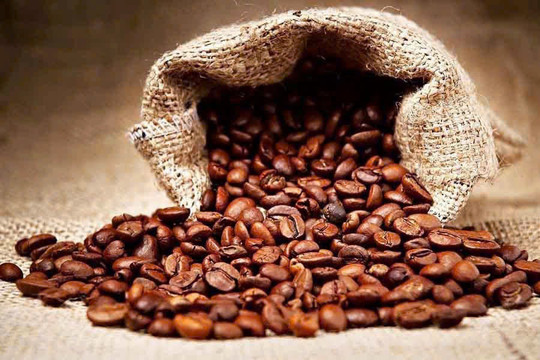Giá cà phê hôm nay 2/2: Duy trì trên 100.000 đồng/kg dù giảm nhẹ