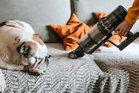12 cách hiệu quả để giảm thiểu ô nhiễm không khí trong nhà
