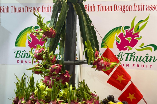 Thanh long Lâm Đồng có mặt tại hội chợ Fruit Logistica 2026, Đức