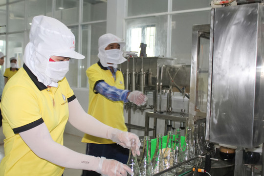 The Traditional Phan Thiet Fish Sauce Craft: Towards National Heritage Recognition.