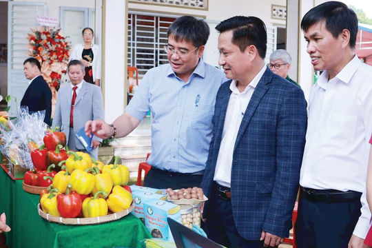 Đinh Văn Lâm Hà: Từ đoàn kết đến hành động đổi mới