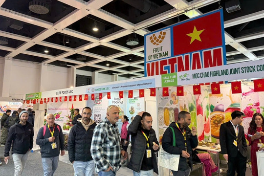 Lam Dong dragon fruit showcased at Fruit Logistica 2026 in Germany