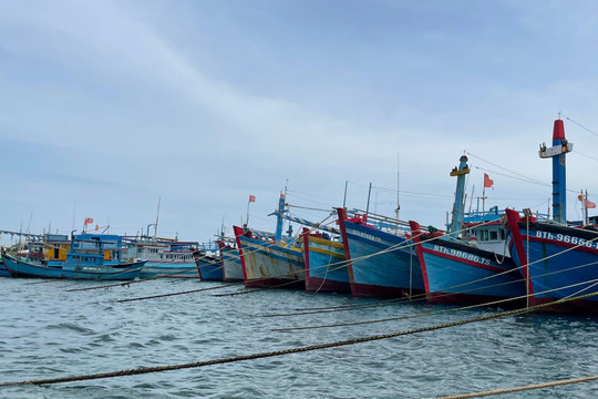 Link vao Dubai phát triển ngành Thủy sản theo hướng kinh tế xanh, hiện đại, hiệu quả cao, bền vững