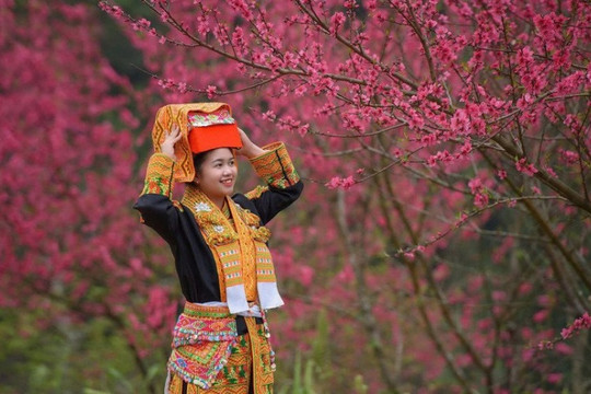 Lạng Sơn: Đắm chìm trong sắc hoa đào và khám phá làng du lịch tốt nhất thế giới
