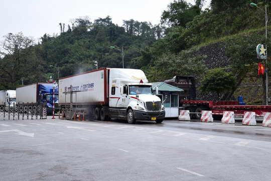 TOÀN VĂN: Nghị quyết 09/2026/NĐ-CP về tạm ngưng Nghị định 46/2026/NĐ-CP về hướng dẫn thi hành Luật An toàn thực phẩm