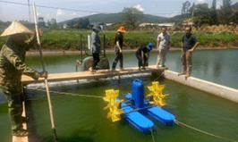 Ứng dụng khoa học - công nghệ nâng cao giá trị sản xuất