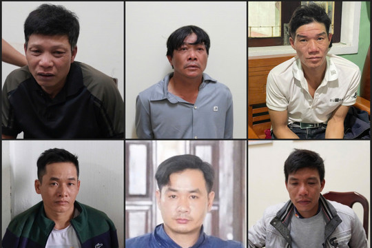 Công an tỉnh Gia Lai triệt phá đường dây trộm hơn 5.200 con chó