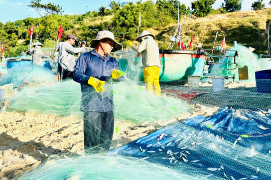 Sea Voyages Bringing “Tet Fortunes”