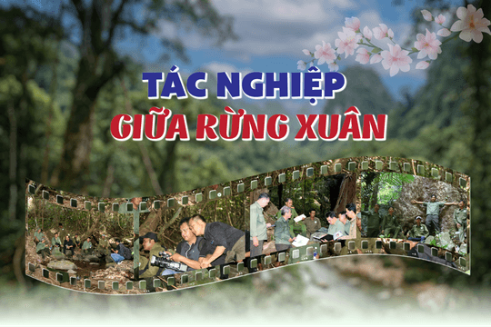 Tác nghiệp giữa rừng xuân