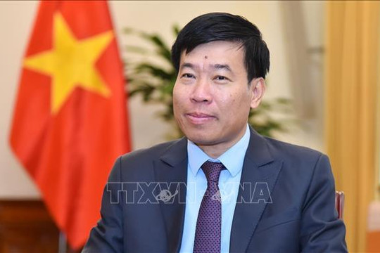 Chủ động, tích cực triển khai nghị quyết Đại hội XIV của Đảng trong công tác đối ngoại