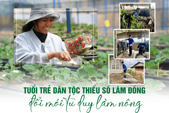 Tuổi trẻ dân tộc thiểu số Lâm Đồng đổi mới tư duy làm nông