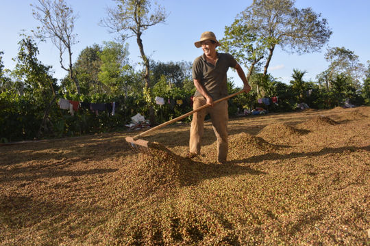 Kỳ vọng nông nghiệp xanh