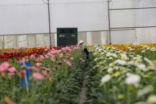 Lam Dong Affirms Its Position as Vietnam’s National High-Tech Agriculture Hub
