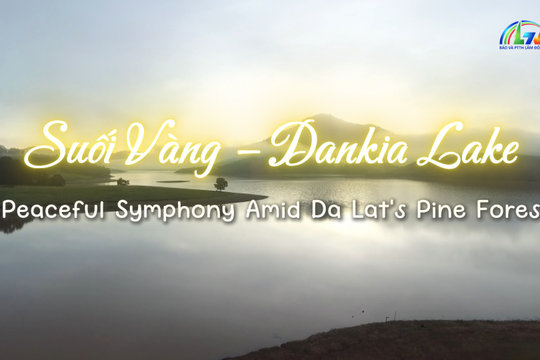 Suoi Vang – Dankia Lake: A Peaceful Symphony Amid Da Lat’s Pine Forests