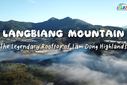 LangBiang Mountain – The Legendary Rooftop of Lam Dong Highlands