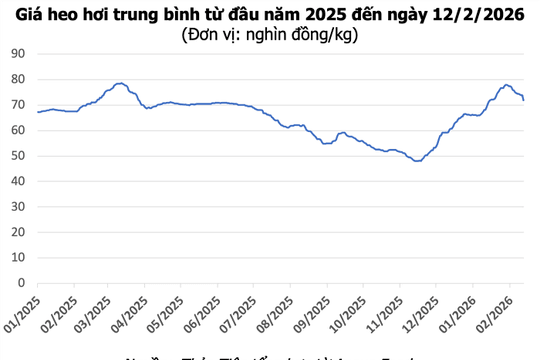 Giá heo hơi hôm nay 12/2: Giảm thêm 2.000 đồng/kg, về mốc 71.000 đồng/kg