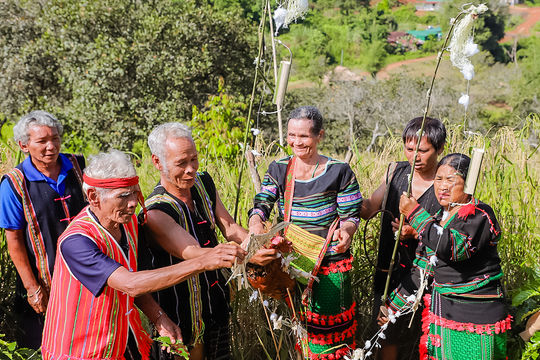 Spring Colors in the Traditional Festivals of Lam Dong’s Ethnic Communities