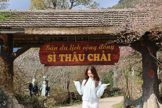 Sì Thâu Chải: Khám phá bản làng cổ tích giữa lưng chừng trời mây tại Lai Châu