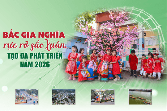 Bắc Gia Nghĩa rực rỡ sắc Xuân, tạo đà phát triển năm 2026