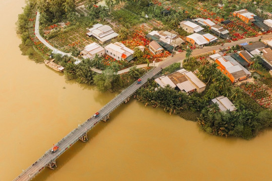 Vĩnh Long: Khám phá sắc xuân rực rỡ tại làng hoa giấy Phú Sơn dịp cận Tết 2026