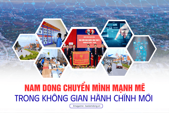 Nam Dong chuyển mình mạnh mẽ trong không gian hành chính mới