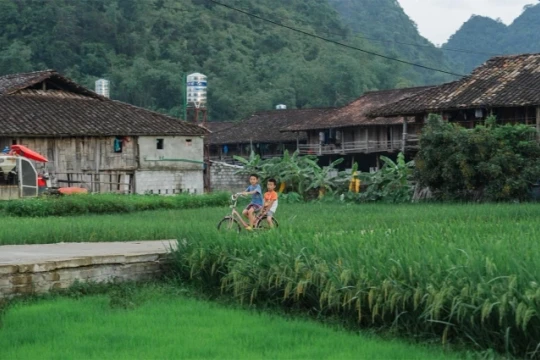 Việt Nam: Khám phá 5 làng du lịch tốt nhất thế giới cho kỳ nghỉ Tết